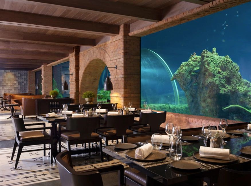 A Multisensory Aquatic Dining Experience at Koral Restaurant